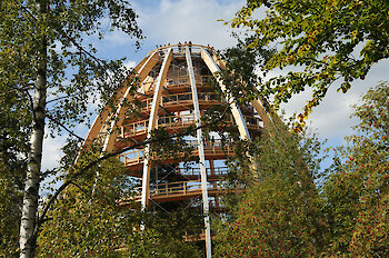 Baumwipfelpfad im Nationalpark